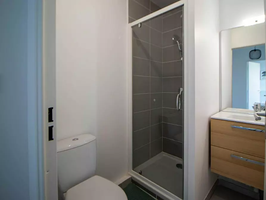 Immagine 8 di Camera in affitto  in Cours Émile Zola a Villeurbanne