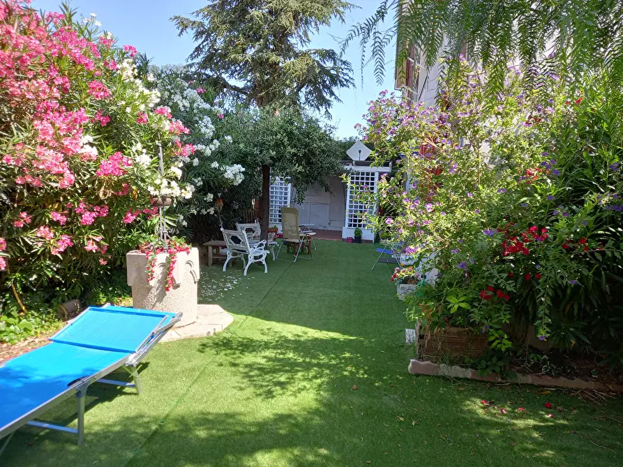 Immagine 2 di Appartamento in affitto  in Via dei Gerani a Termoli