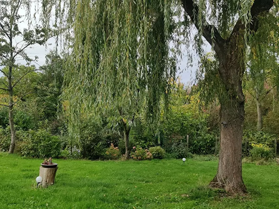 Immagine 1 di Camera in affitto  in Allée Pré Magnette a Gougnies