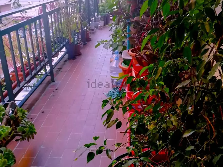 Immagine 6 di Camera in affitto  in Calle Brahms a Malaga