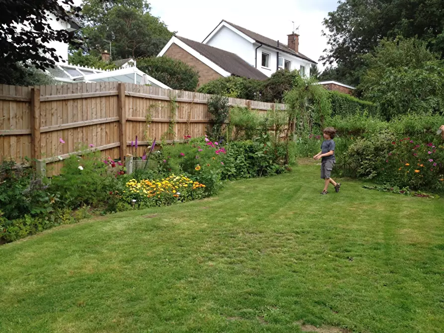 Immagine 6 di Casa indipendente in affitto  in The Rise a 