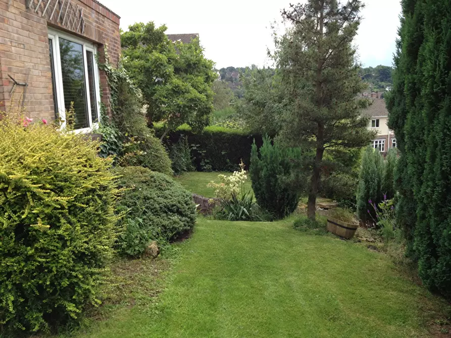 Immagine 10 di Casa indipendente in affitto  in The Rise a 