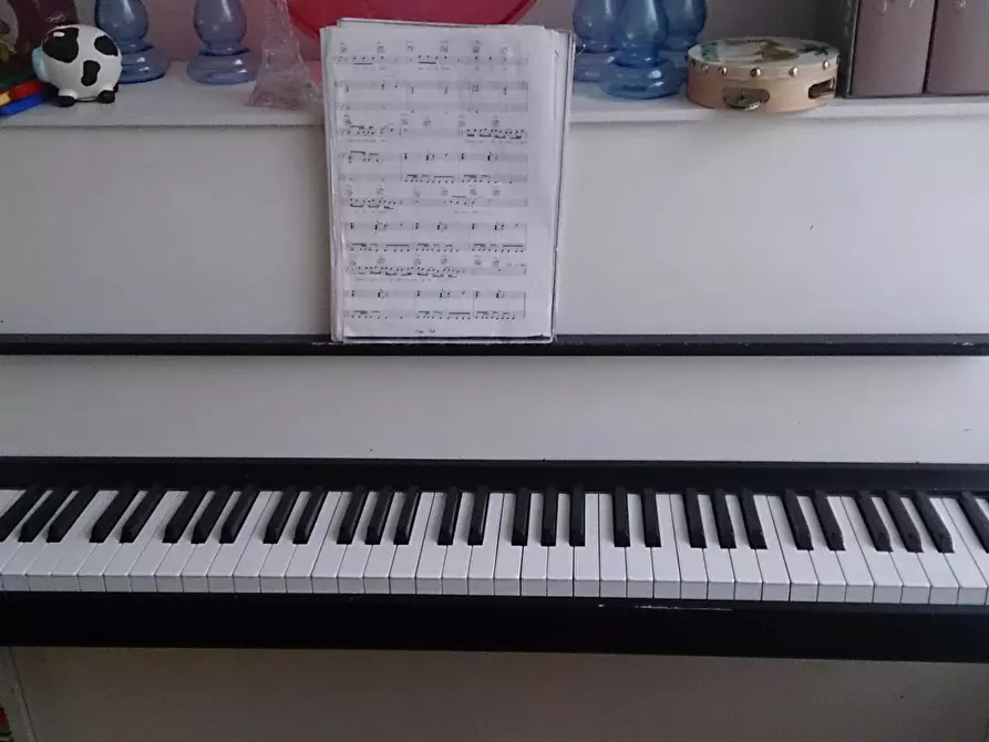 Immagine 6 di Camera in affitto  in Blaauwstraat a Rotterdam