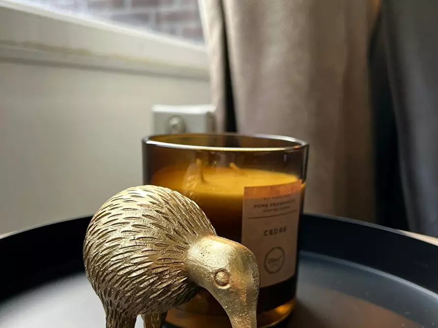 Immagine 4 di Appartamento in affitto  in Mijnsherenlaan a Rotterdam