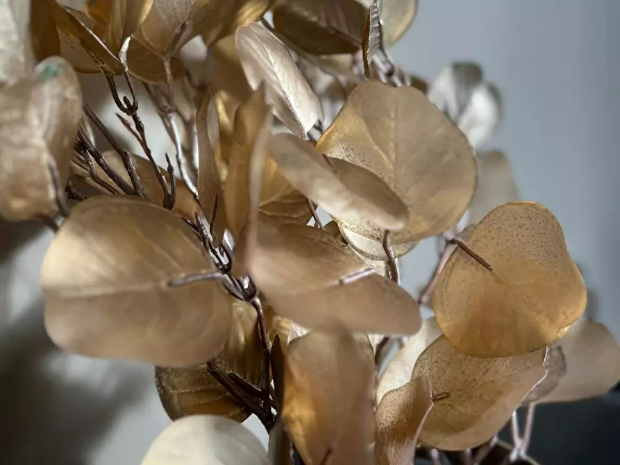 Immagine 7 di Appartamento in affitto  in Mijnsherenlaan a Rotterdam