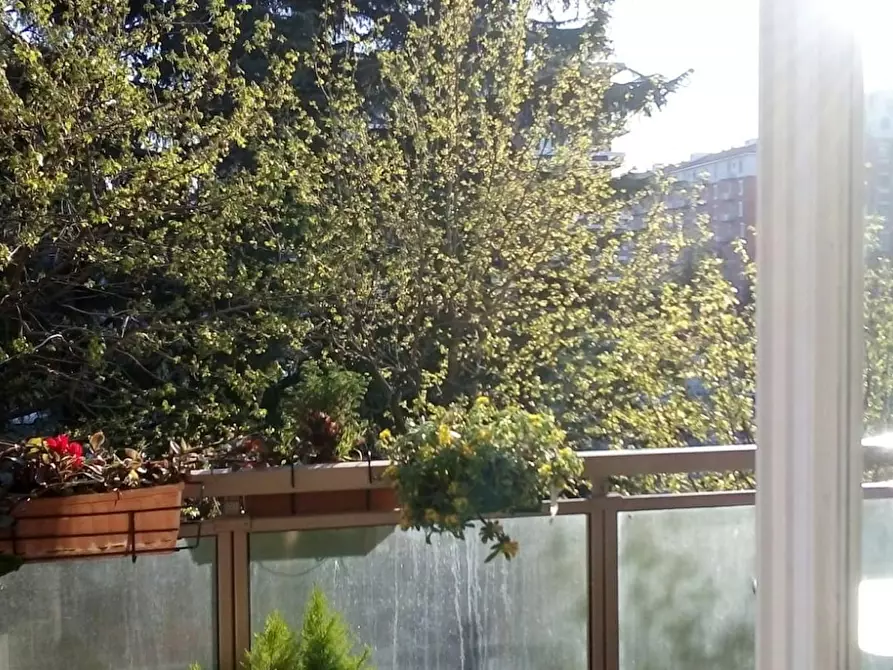 Immagine 6 di Camera in affitto  in Via degli Anemoni a Milano