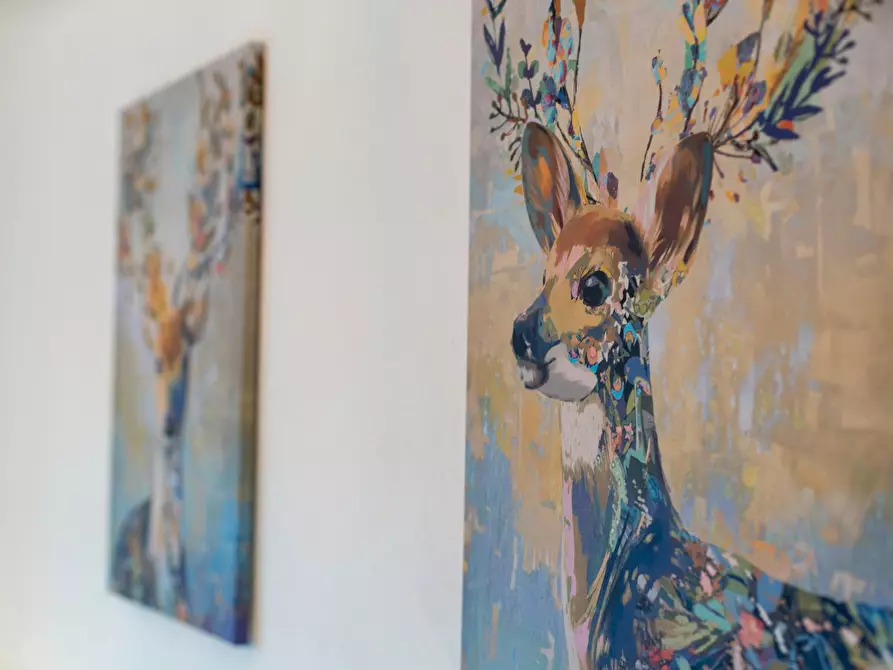 Immagine 8 di Appartamento in affitto  in Mattenbergstraße a Kassel