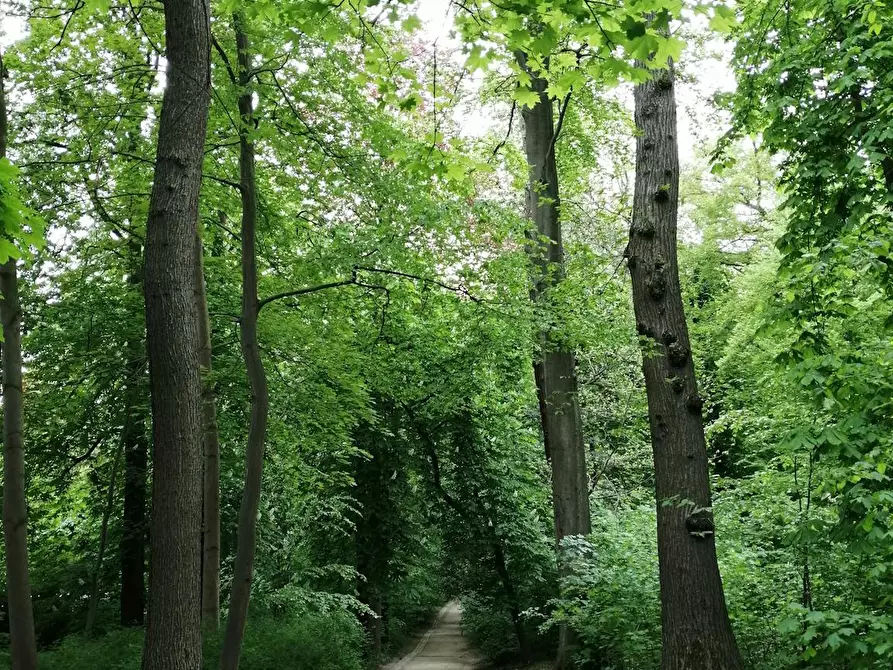 Immagine 9 di Camera in affitto  in Rue Klipveld a Uccle