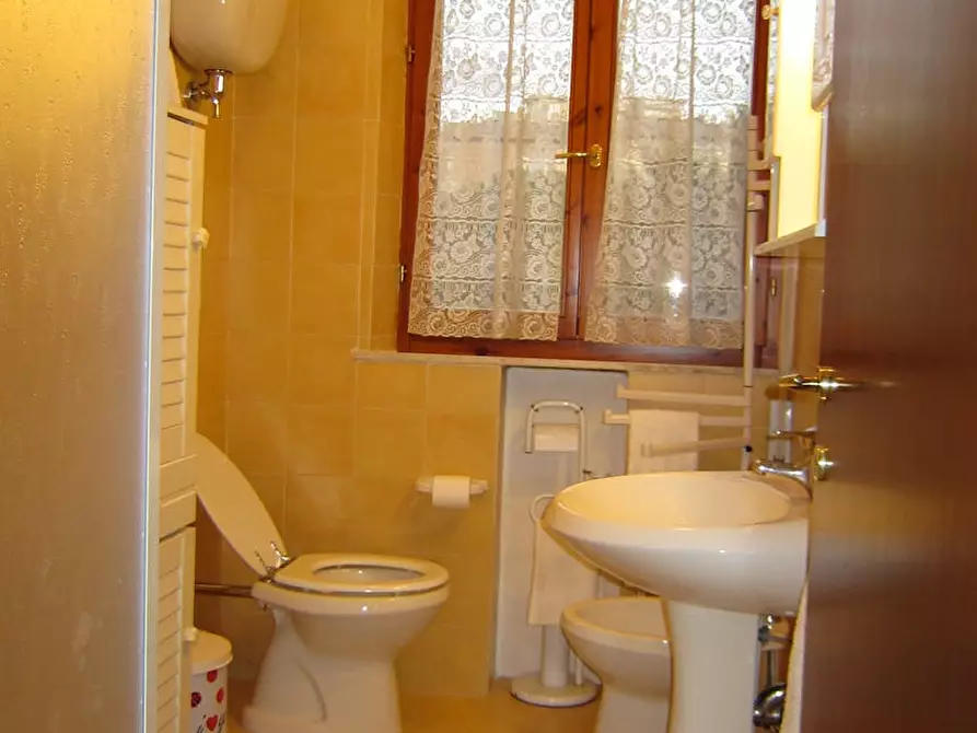 Immagine 7 di Camera in affitto  in Via Ambrogio Sansedoni a Siena