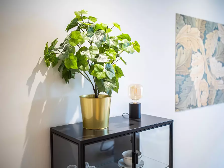 Immagine 9 di Appartamento in affitto  in Villapark a Rotterdam