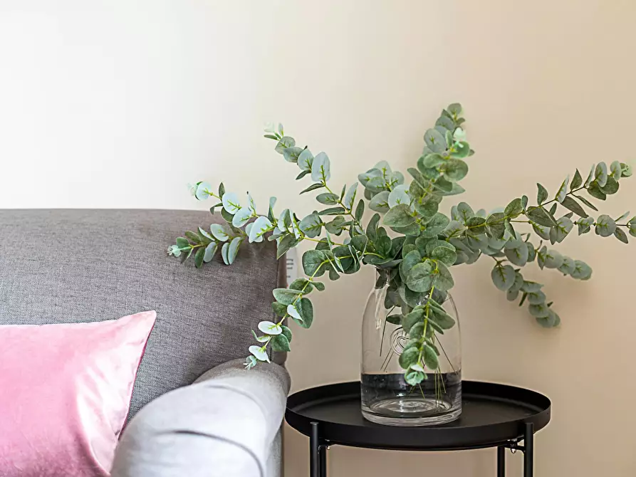 Immagine 10 di Appartamento in affitto  in Queensborough Terrace a Paddington