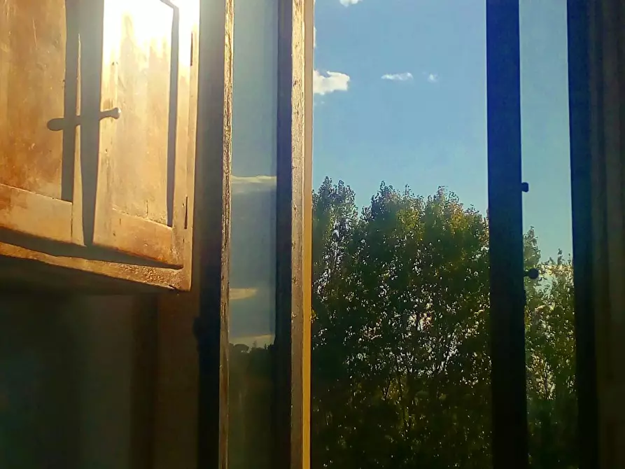 Immagine 4 di Camera in affitto  in Via Mario Orsini a Firenze