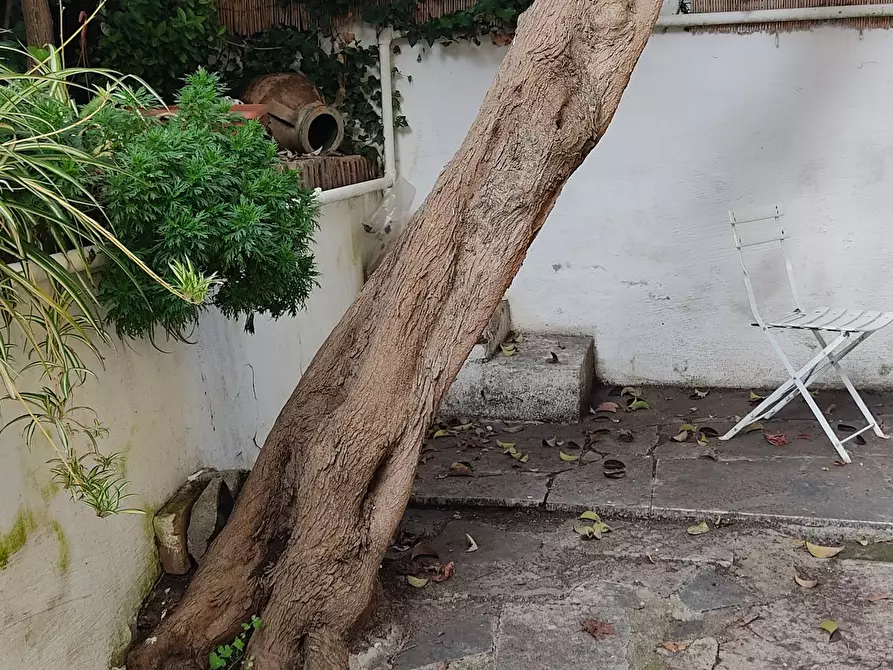 Immagine 5 di Appartamento in affitto  in Via Alghero a Roma