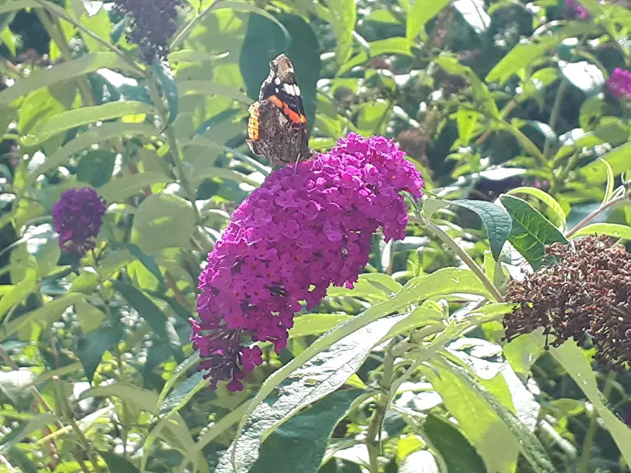 Immagine 10 di Appartamento in affitto  in Bussardstraße a Unterhaching
