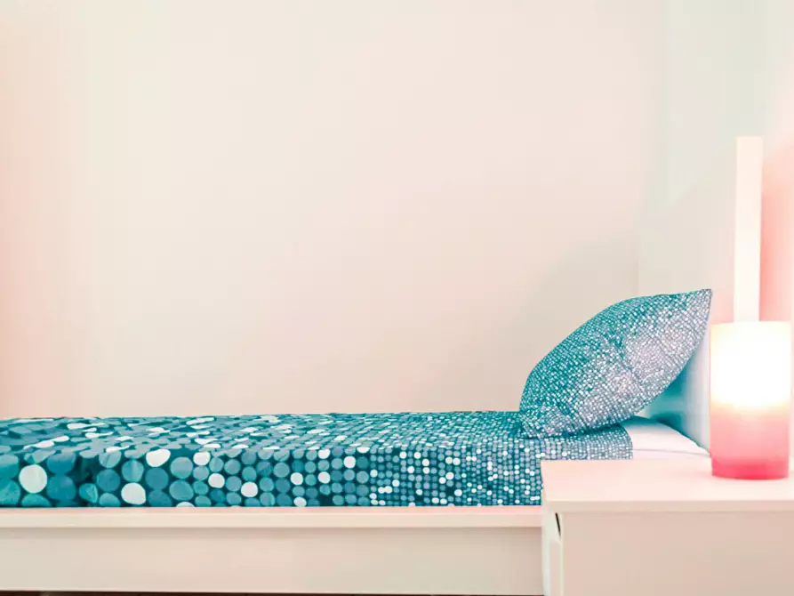 Immagine 5 di Camera in affitto  in Via Alfonso Bonafous a Torino