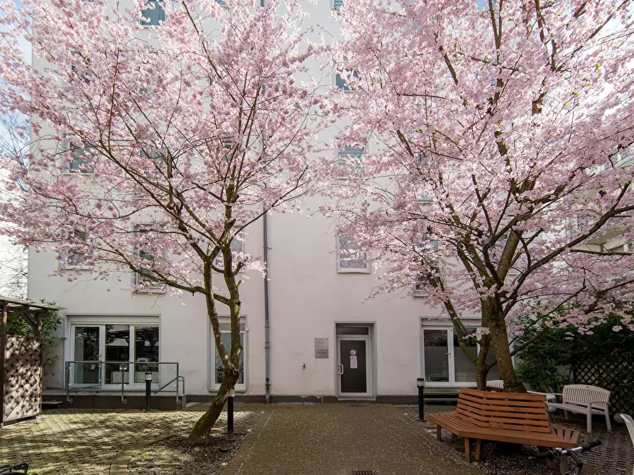 Immagine 10 di Appartamento in affitto  in Knaackstraße a Berlin