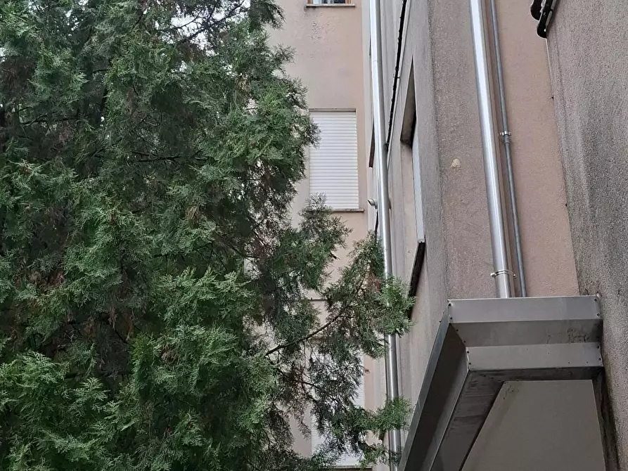 Immagine 7 di Camera condivisa in affitto  in Via Makallè a Padova