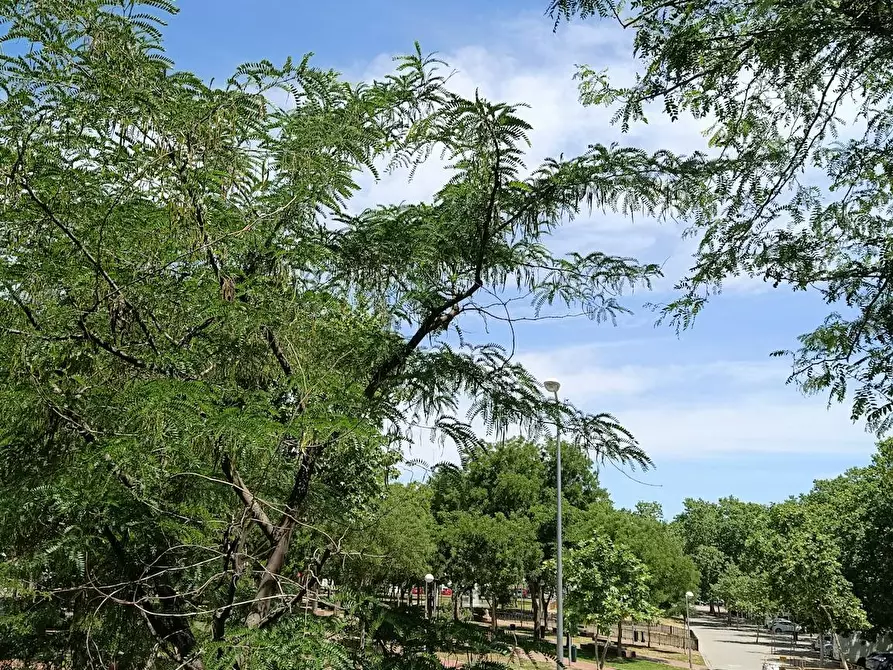 Immagine 2 di Camera in affitto  in Avenida de las Palomeras a Madrid