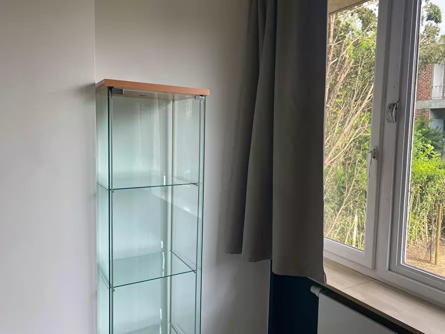Immagine 5 di Camera in affitto  in Clos du Cheval d'Argent a Ixelles