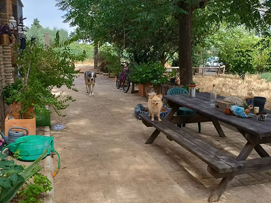 Immagine 9 di Camera in affitto  in Camino de Sanlúcar a Villanueva Del Ariscal
