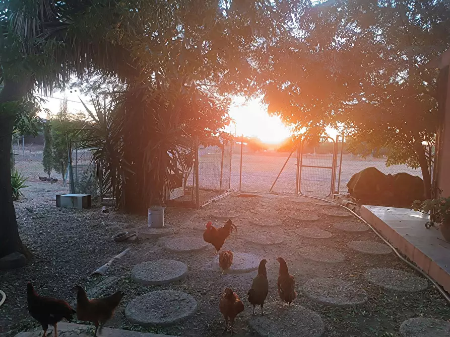 Immagine 6 di Camera in affitto  in Camino de Sanlúcar a Villanueva Del Ariscal