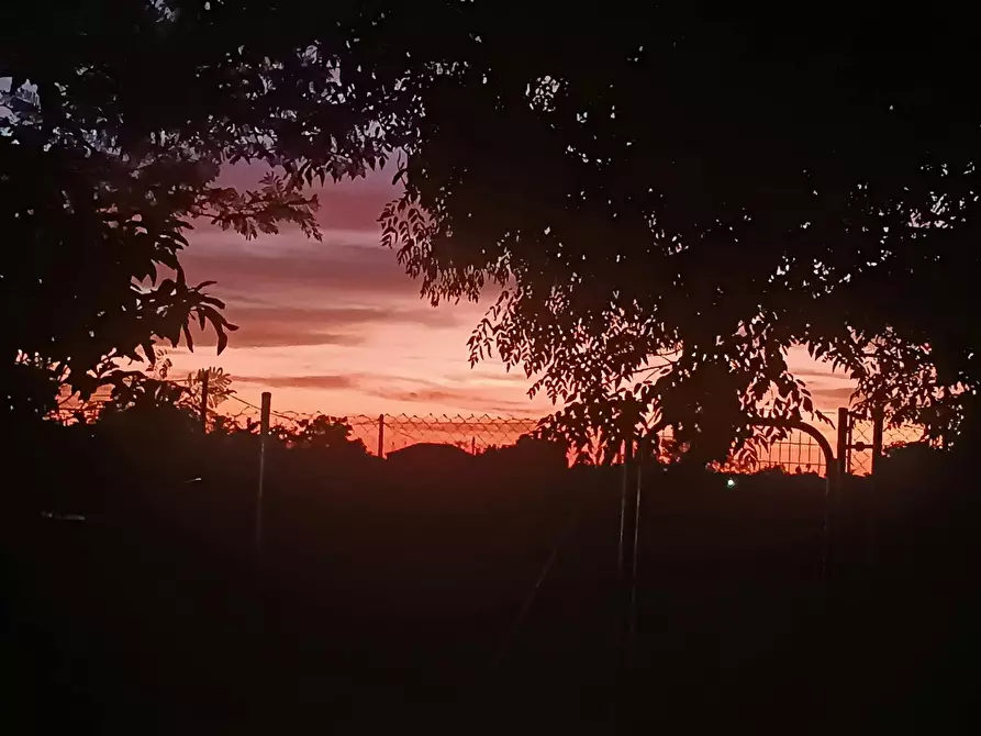 Immagine 5 di Camera in affitto  in Camino de Sanlúcar a Villanueva Del Ariscal