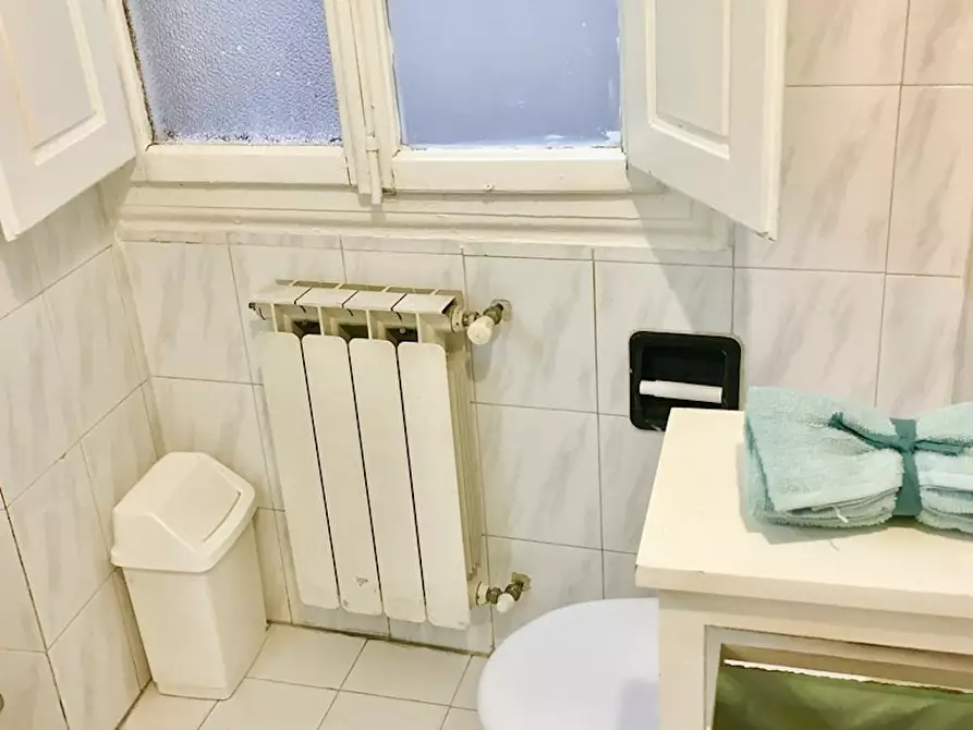 Immagine 9 di Camera in affitto  in Via del Ponte Rosso a Firenze