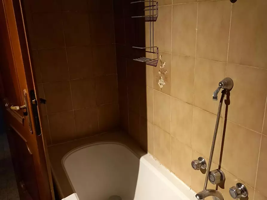 Immagine 6 di Camera condivisa in affitto  in Via delle Fragole a Bologna