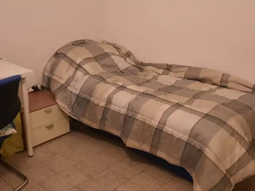 Immagine 2 di Camera condivisa in affitto  in Via delle Fragole a Bologna