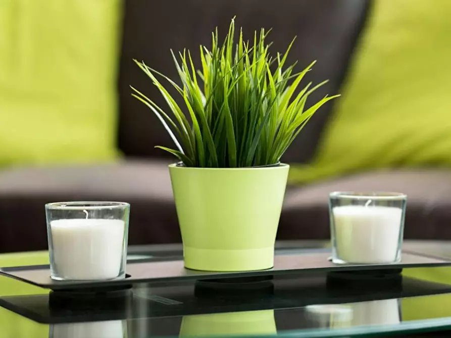 Immagine 6 di Appartamento in affitto  in Mint Drive a 