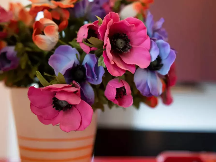 Immagine 7 di Appartamento in affitto  in Via Giovanni Pezzotti a Milano