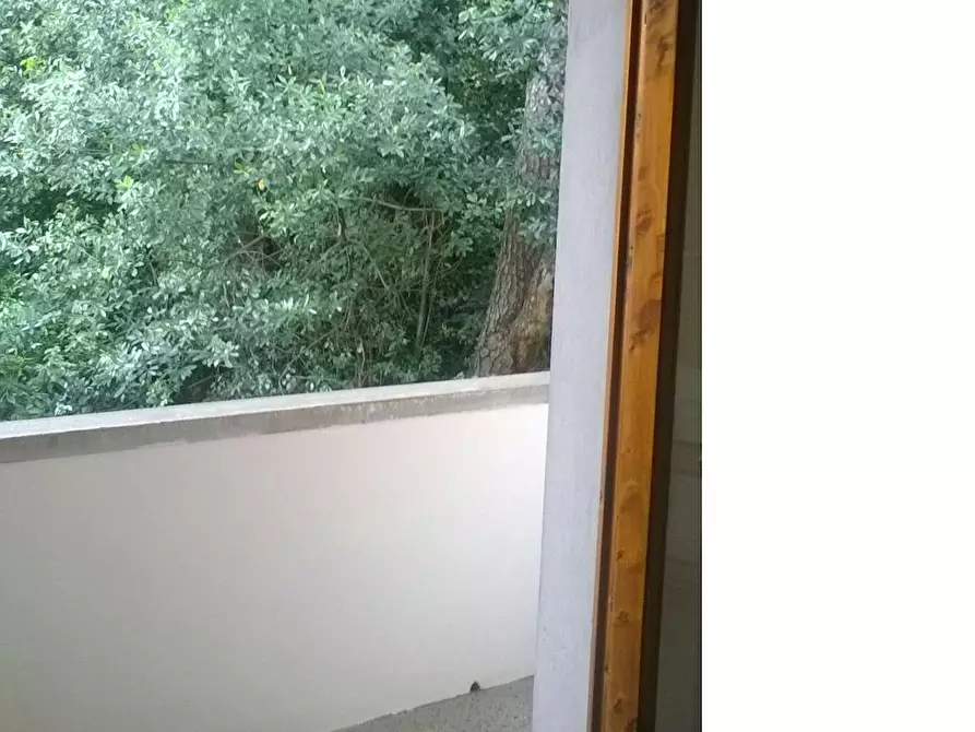 Immagine 3 di Camera in affitto  in Via Carlo Pisacane a Firenze