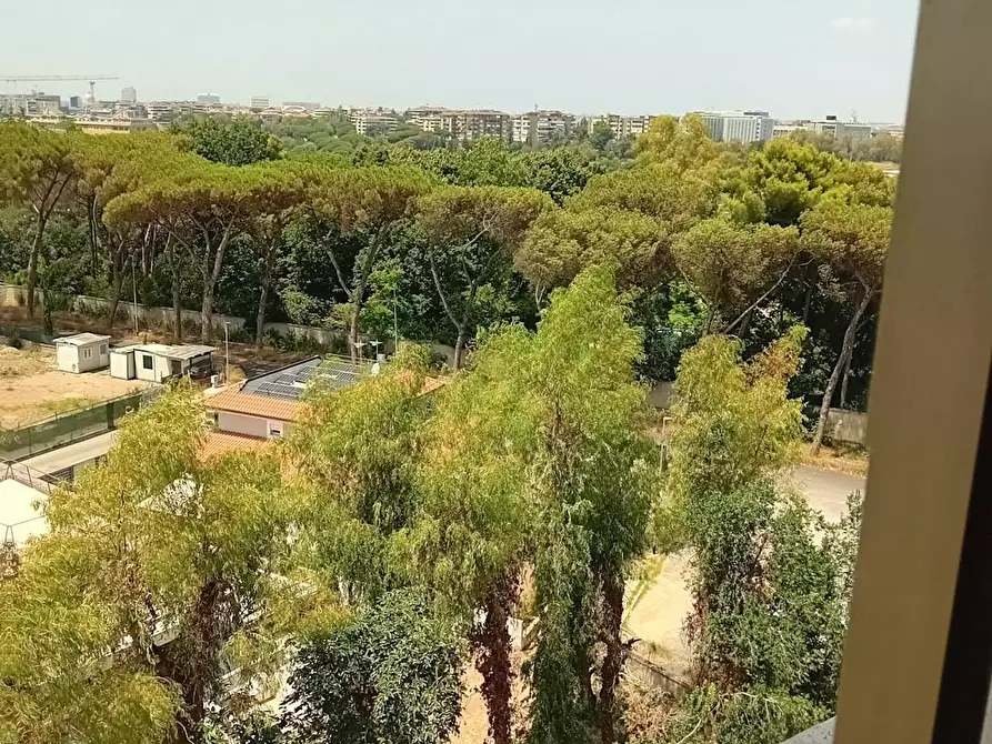 Immagine 5 di Camera in affitto  in Via Elio Lampridio Cerva a Roma