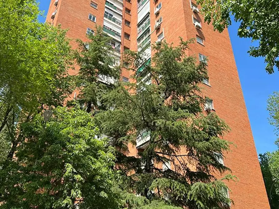 Immagine 3 di Camera in affitto  in Calle de Menasalbas a Madrid