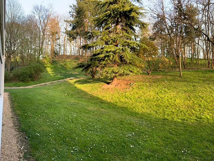 Immagine 3 di Camera in affitto  in Allée de la Butte-aux-Cailles a Noisy-le-Grand
