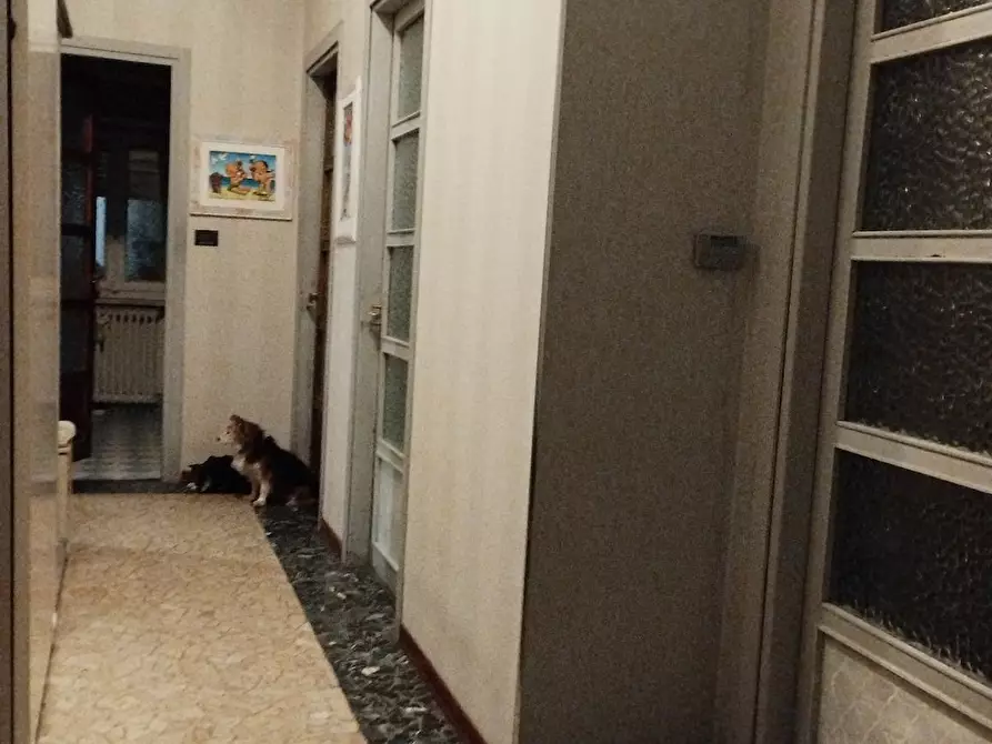 Immagine 5 di Camera in affitto  in Via Borgomanero a Torino