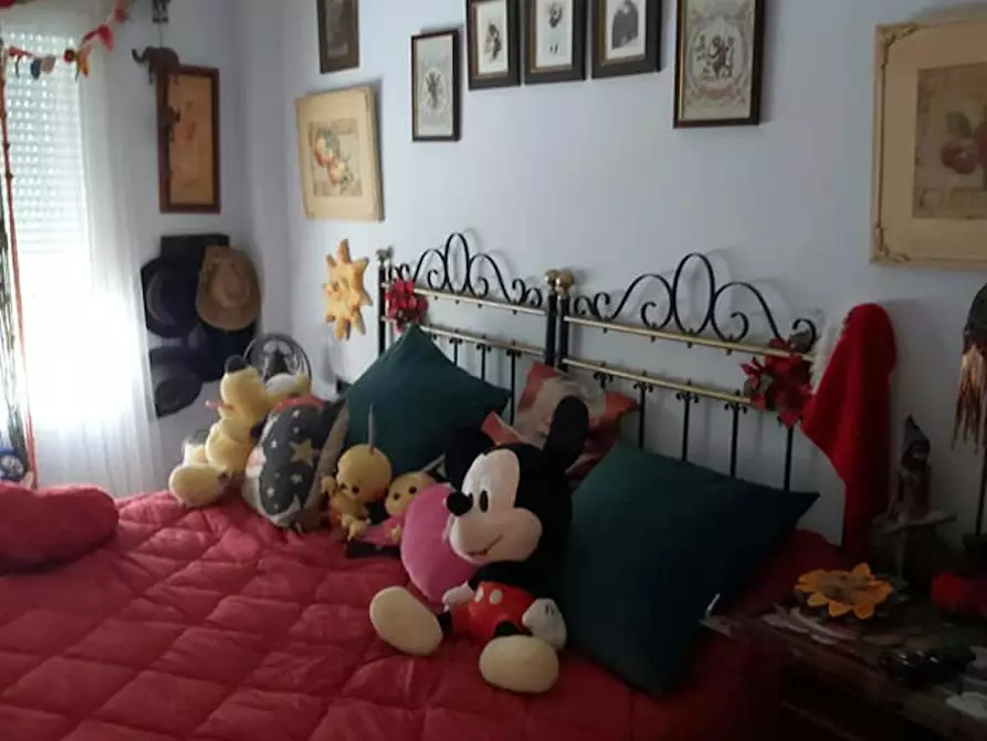 Immagine 4 di Camera in affitto  in Carrer Belfast a Alicante/Alacant