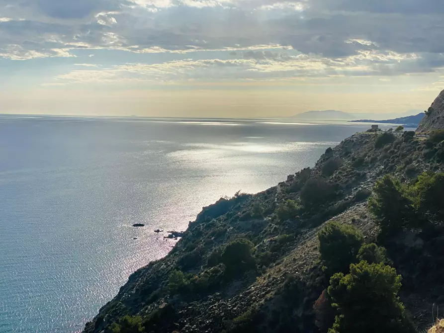 Immagine 4 di Appartamento in affitto  in Avenida Marina del Este a La Herradura