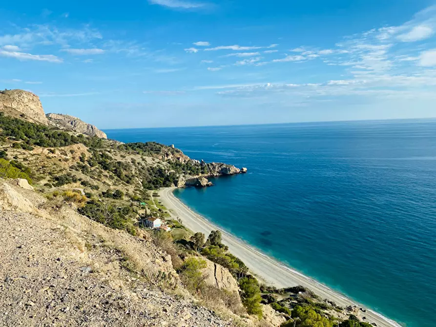 Immagine 2 di Appartamento in affitto  in Avenida Marina del Este a La Herradura