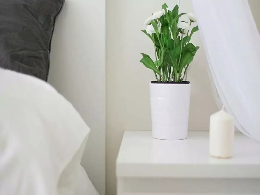 Immagine 5 di Camera in affitto  in Viale Brianza a Milano