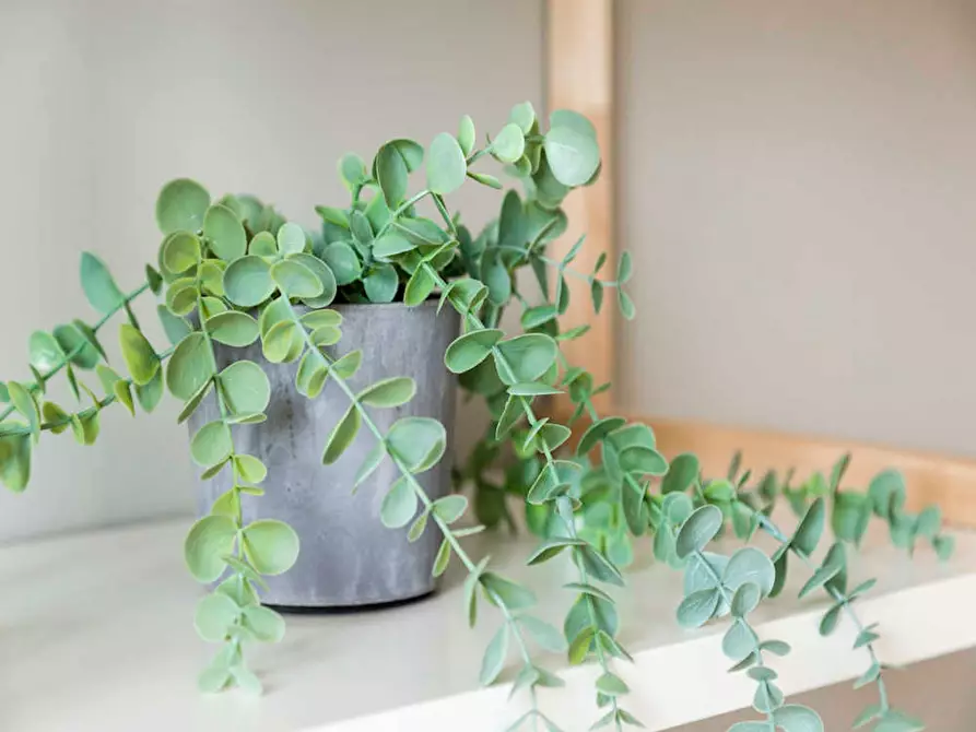 Immagine 8 di Camera in affitto  in Via Arcivescovo Romilli a Milano