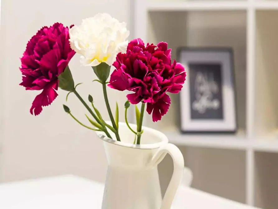 Immagine 10 di Camera in affitto  in Via Saverio Mercadante a Milano