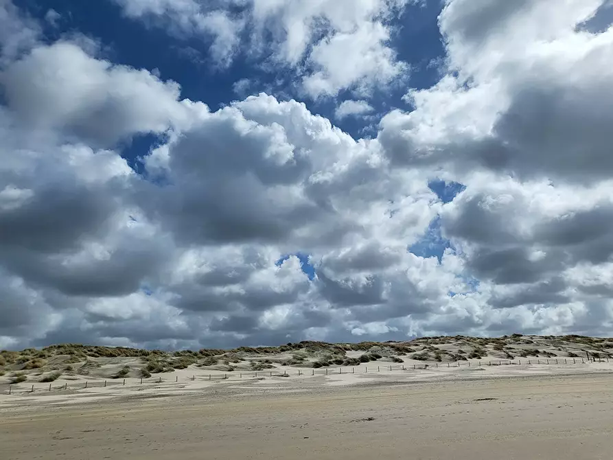 Immagine 8 di Casa indipendente in affitto  in De Heeren van 's-Gravensande a 's-Gravenzande