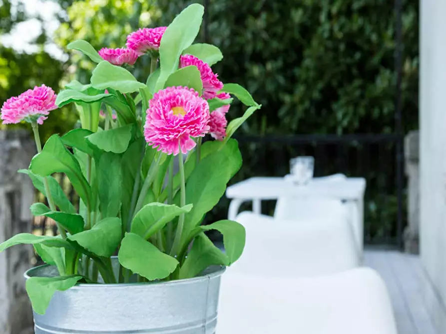 Immagine 7 di Camera in affitto  in Via Carlo Bertolazzi a Milano