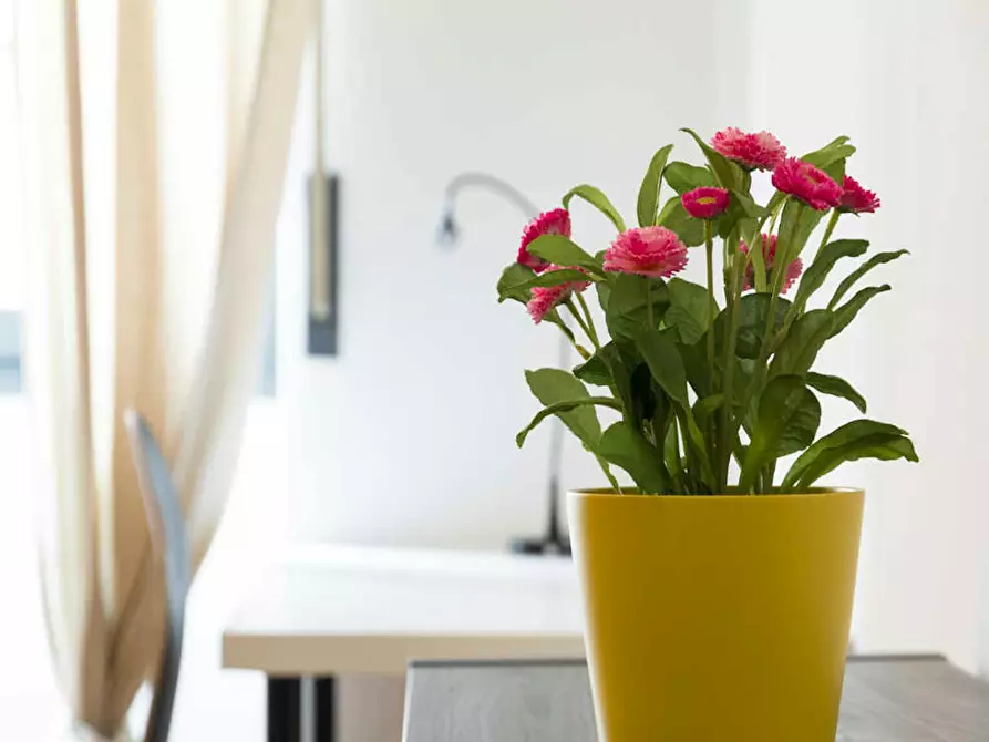 Immagine 6 di Camera in affitto  in Via Giuseppe Bruschetti a Milano