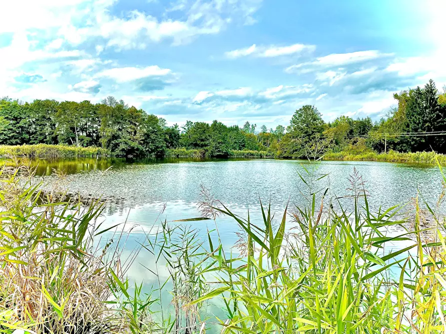 Immagine 7 di Appartamento in affitto  in Dorfstraße a Grafing bei München