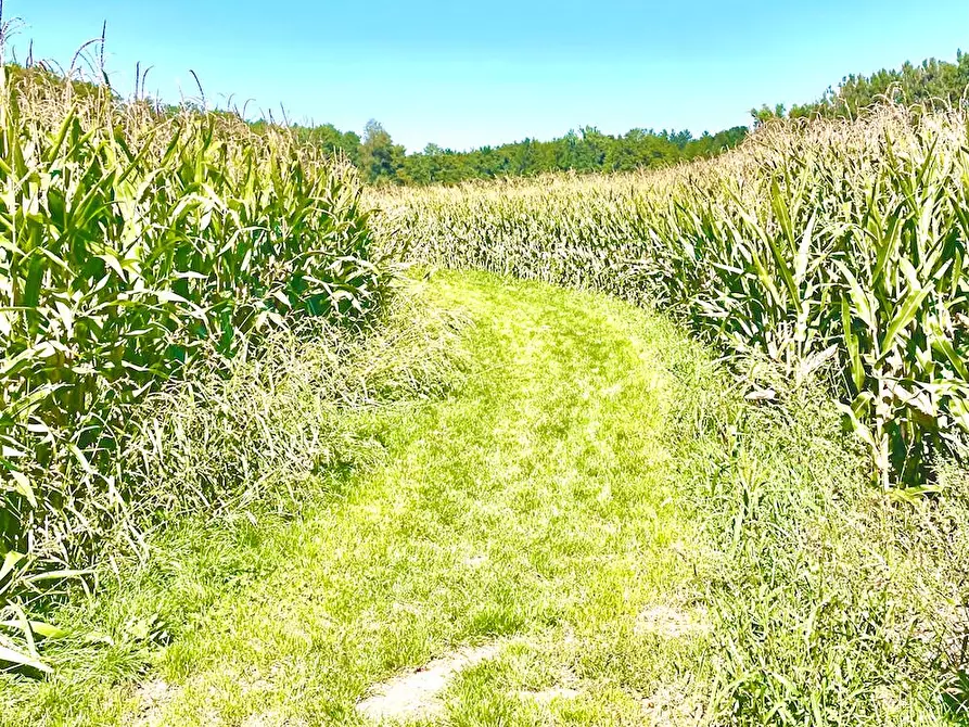 Immagine 6 di Appartamento in affitto  in Dorfstraße a Grafing bei München
