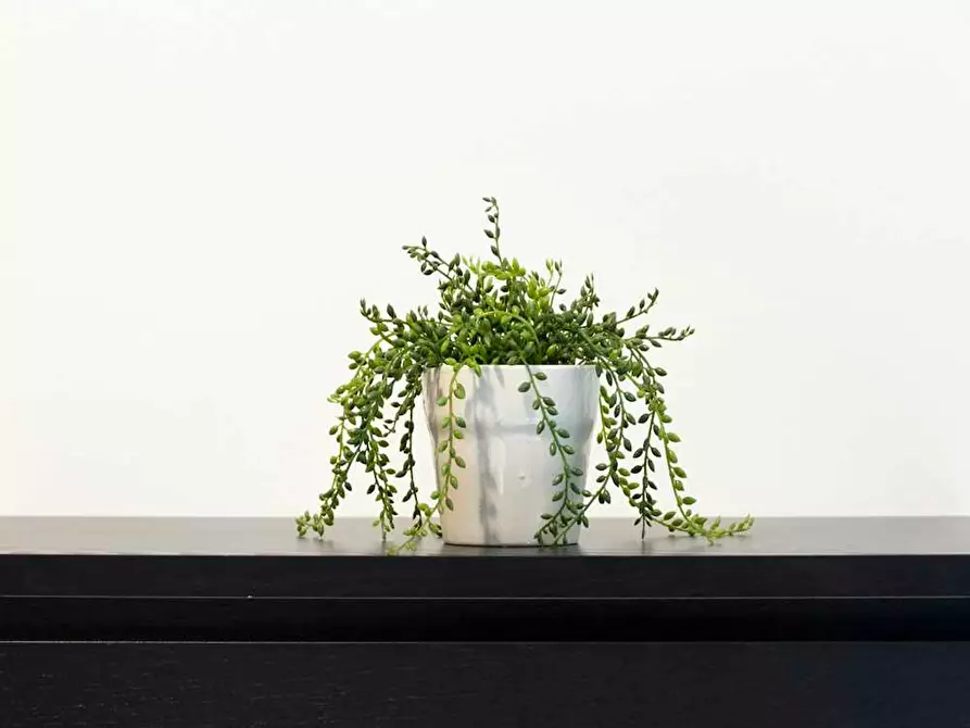 Immagine 6 di Camera in affitto  in Via Larga a Milano