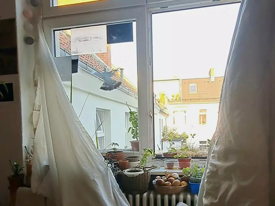 Immagine 4 di Appartamento in affitto  in Sonnenallee a Berlin