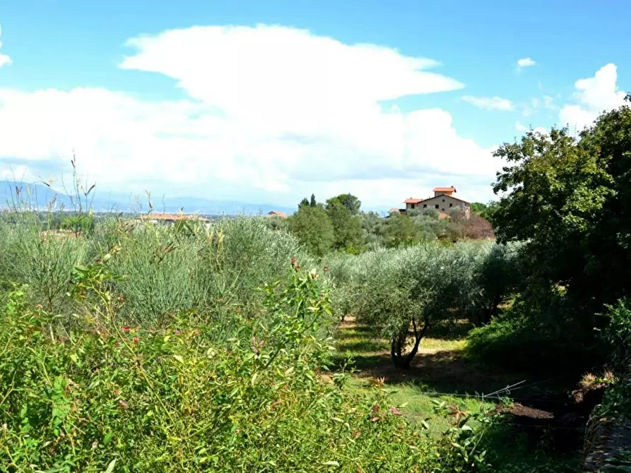 Immagine 6 di Appartamento in affitto  in Via Livornese a Lastra A Signa